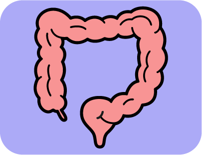 Icono Programa de cribado de c&aacute;ncer colorrectal