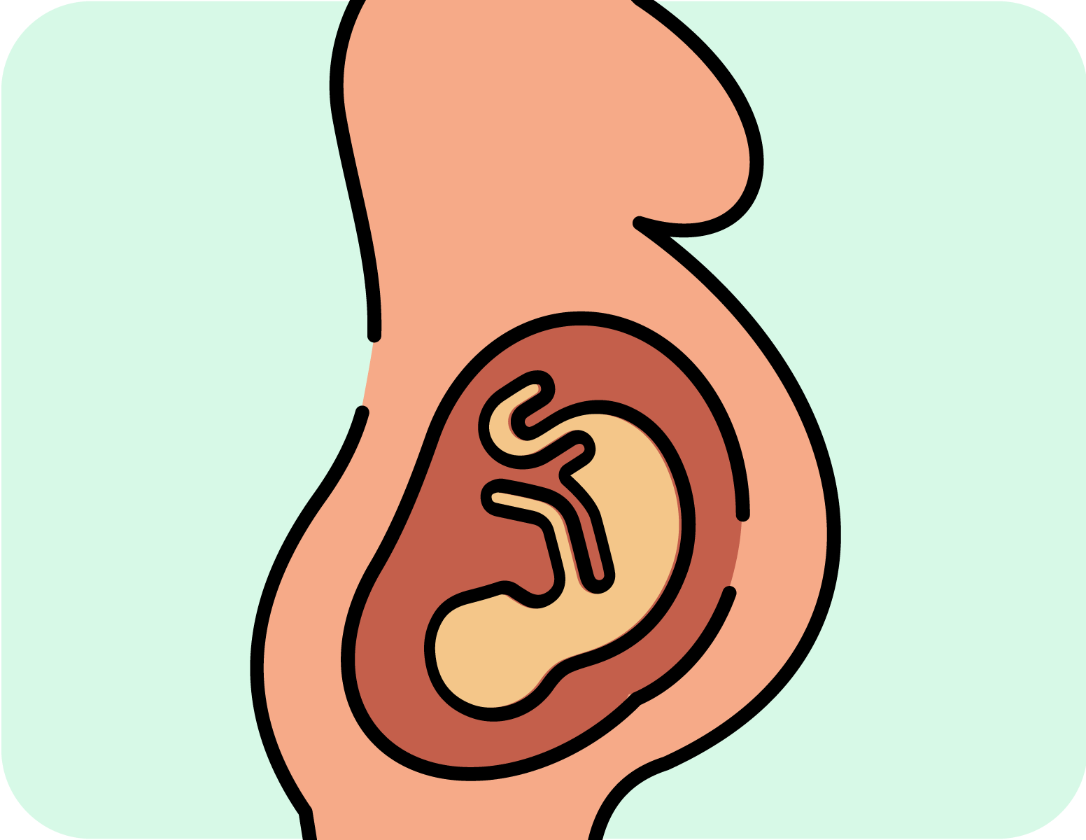 Icono del Programa de cribado prenatal