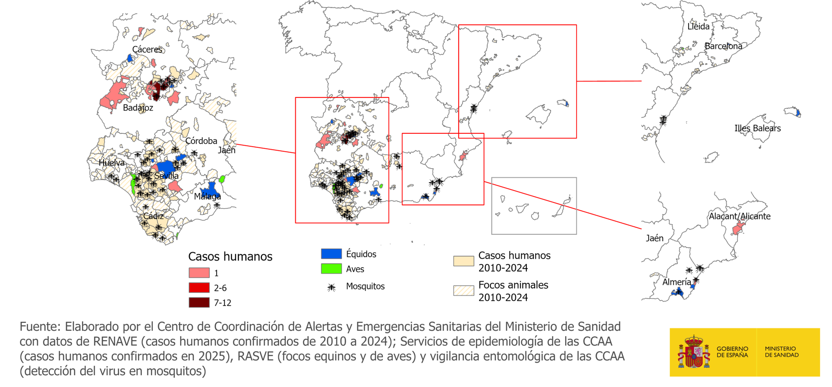 Casos humanos confirmados y focos animales en España en la temporada 2025