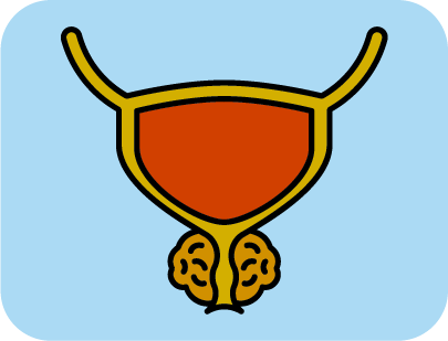 Icono Programa de cribado de c&aacute;ncer de pr&oacute;stata